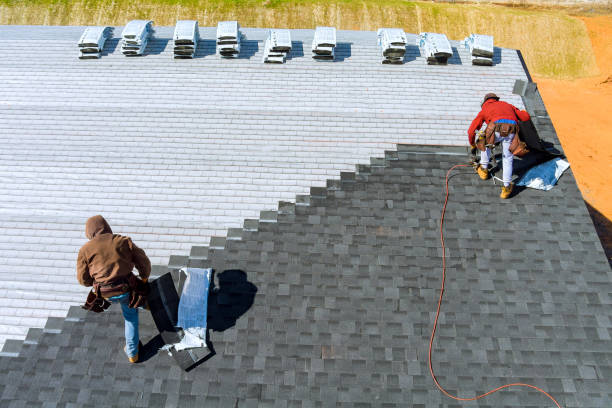 Best Roof Moss and Algae Removal  in Mount Vernon, IA