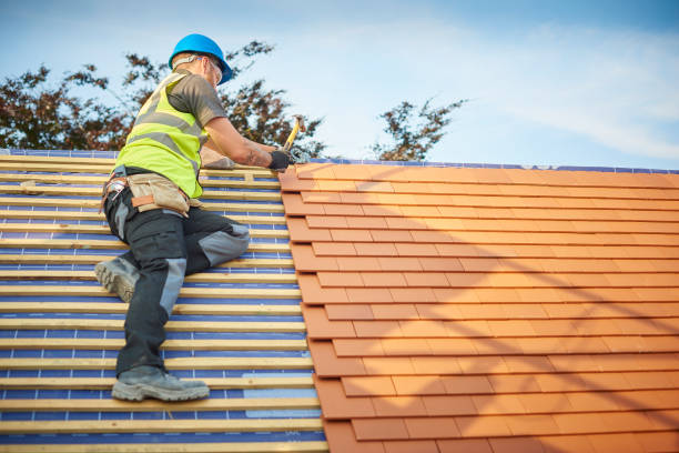Best Gutter Installation and Repair  in Mount Vernon, IA